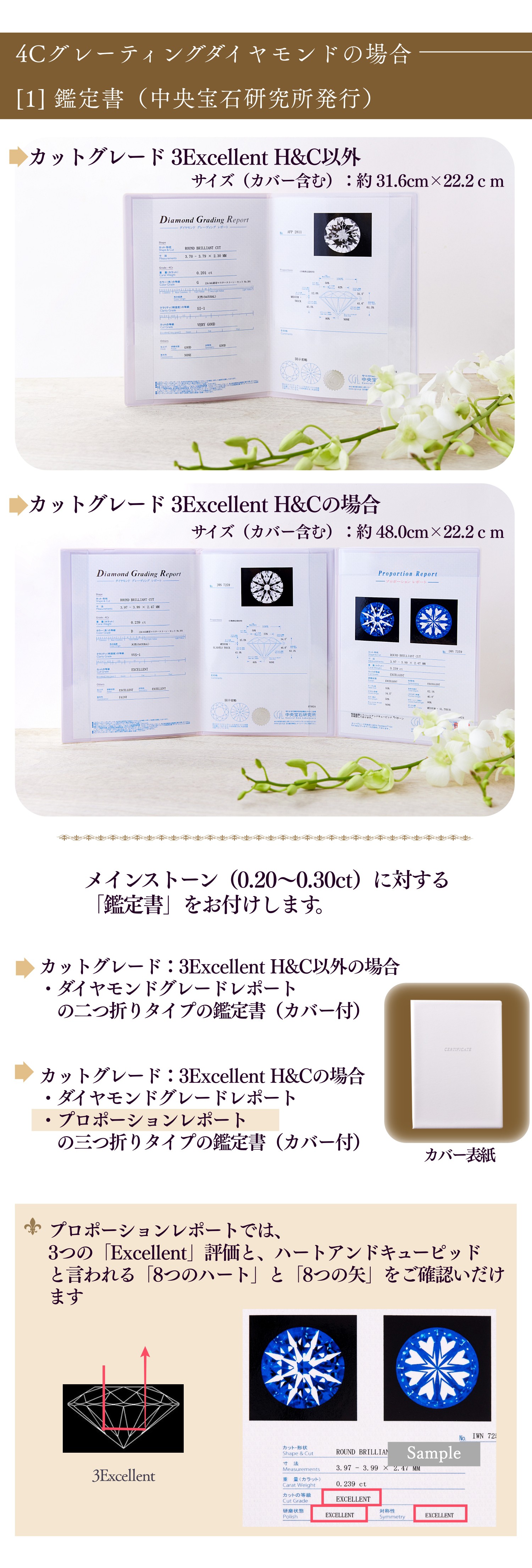 4C졼ƥ󥰥ɥ 