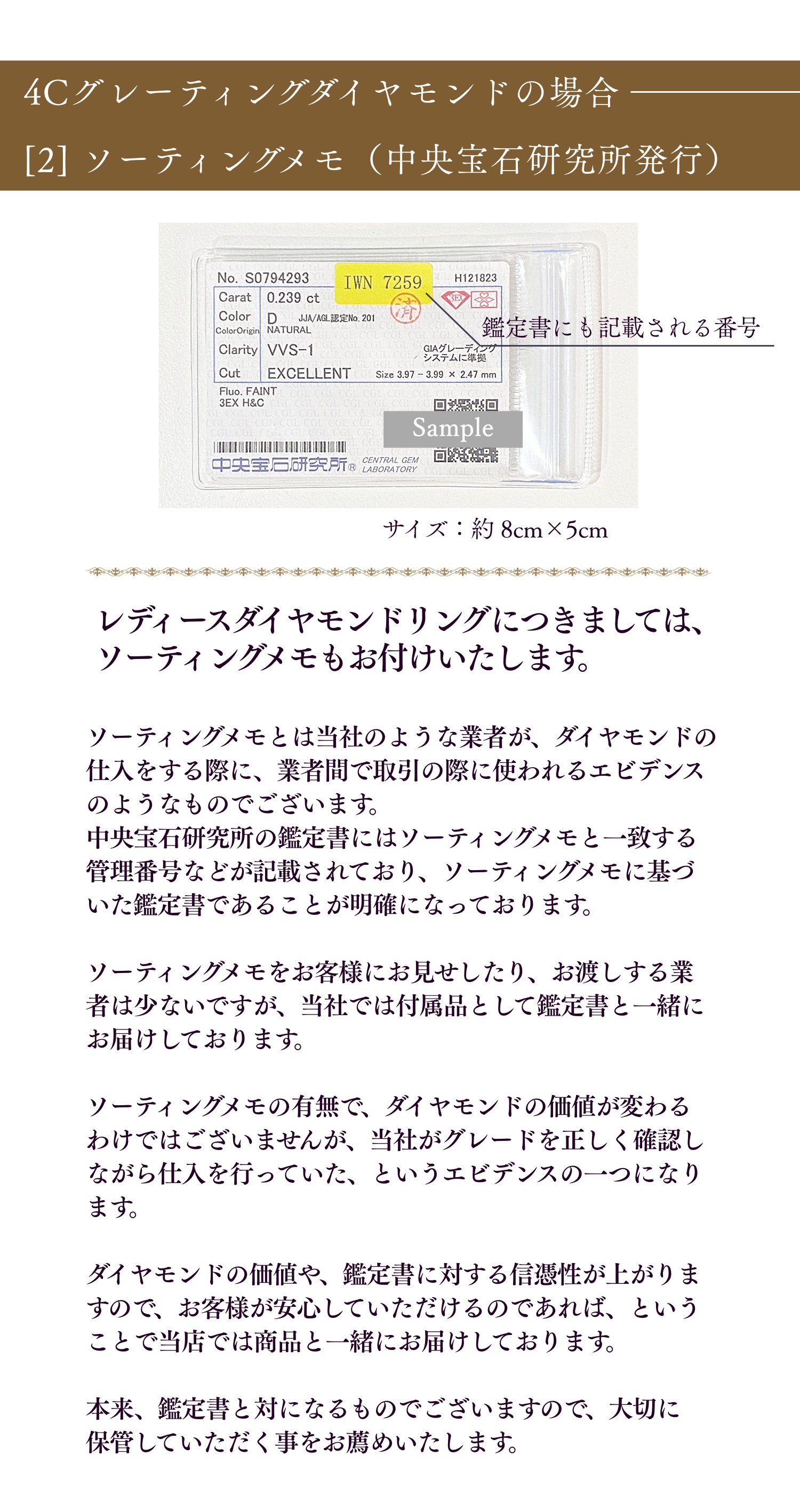4C졼ƥ󥰥ɥ ƥ󥰥