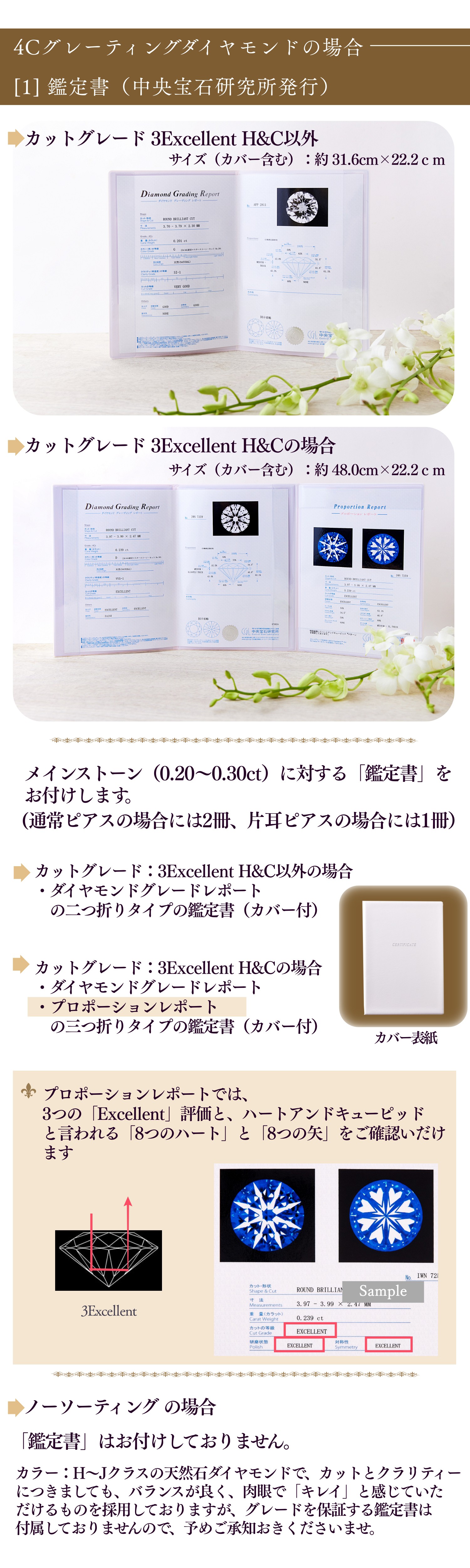 4C졼ƥ󥰥ɥͥå쥹 