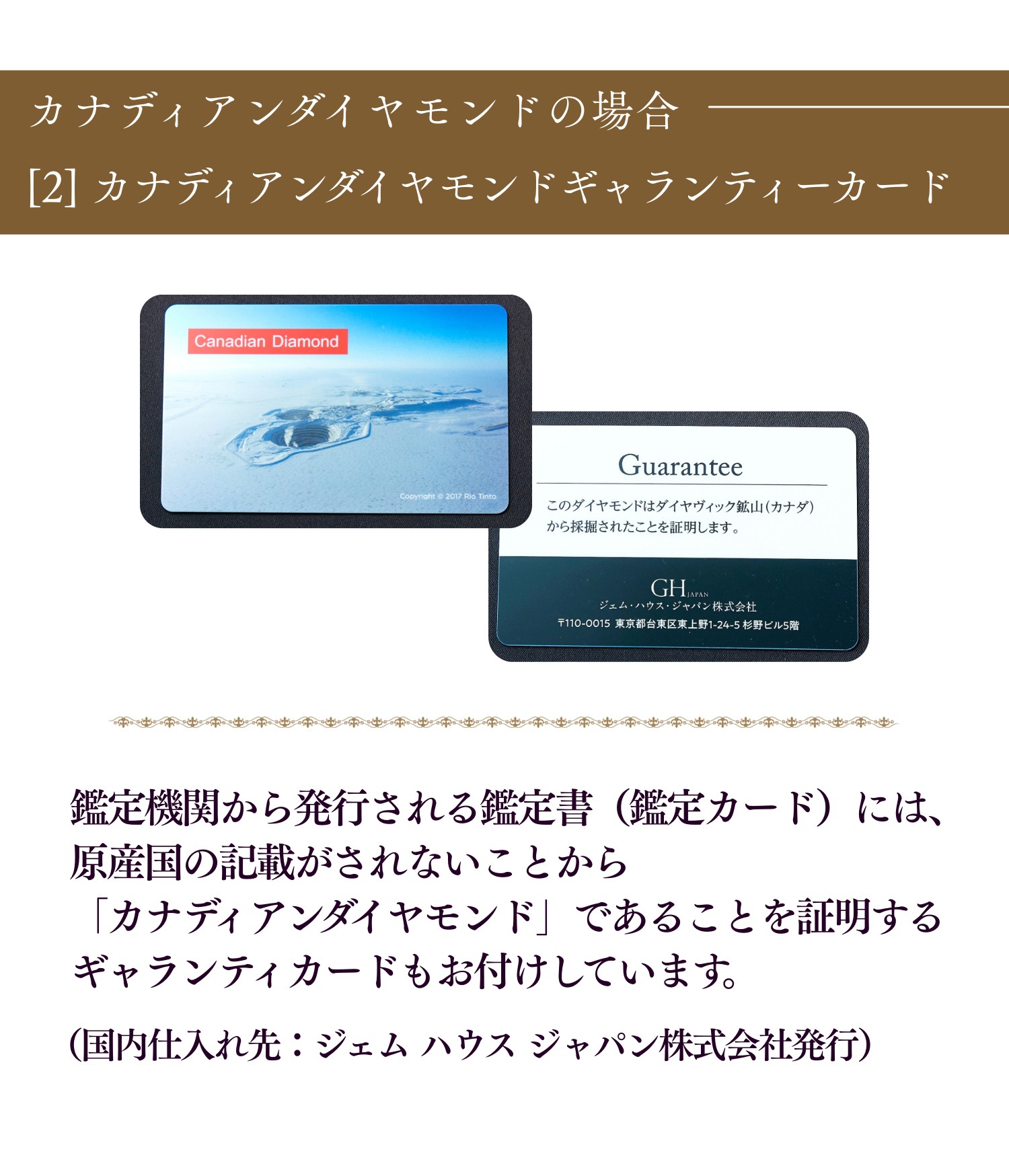 ʥǥɥͥå쥹 ƥ