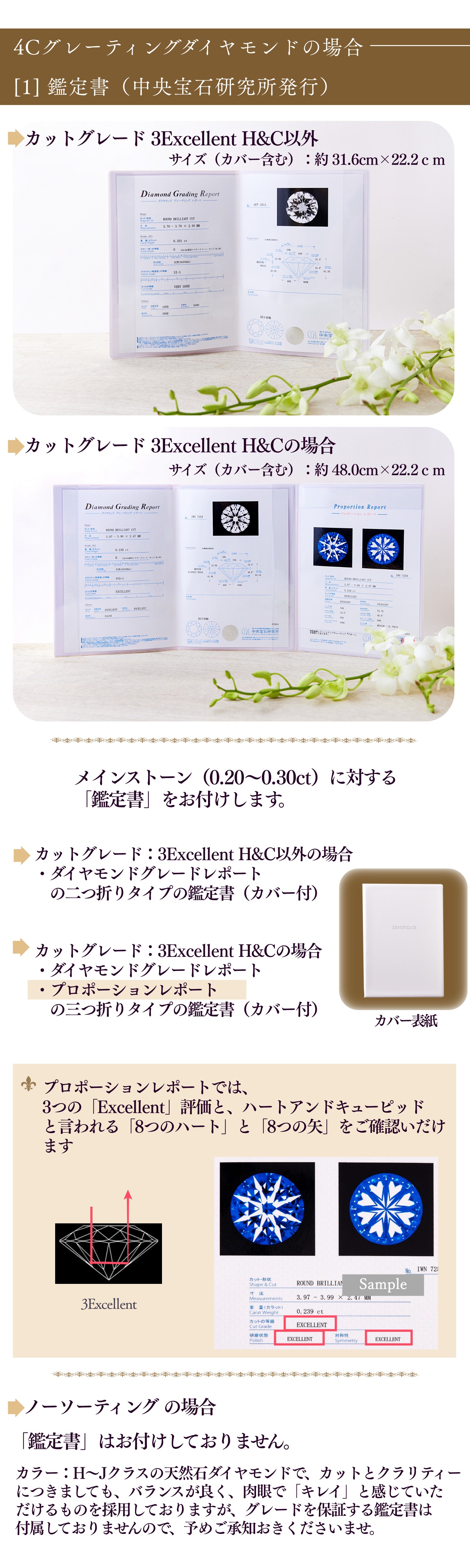 4C졼ƥ󥰥ɥͥå쥹 