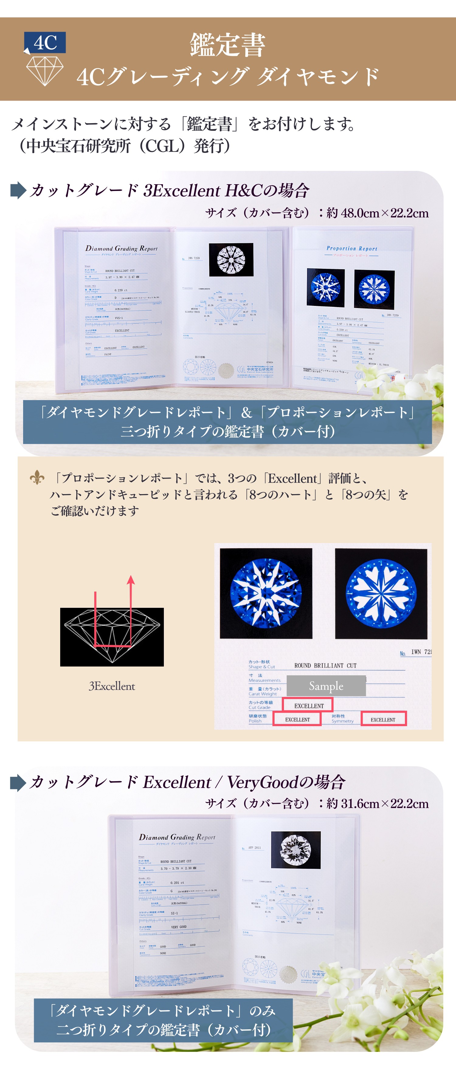 4C졼ƥ󥰥 