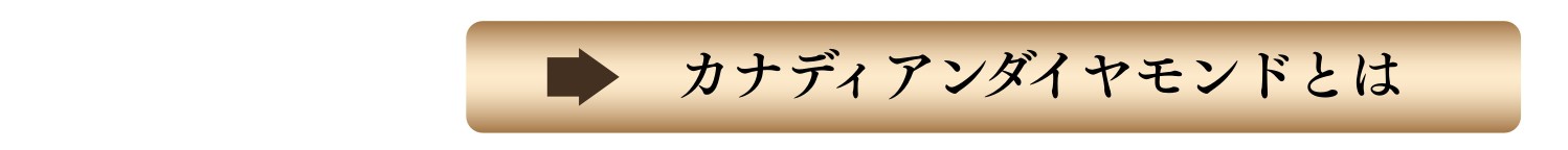 ʥǥɤȤ