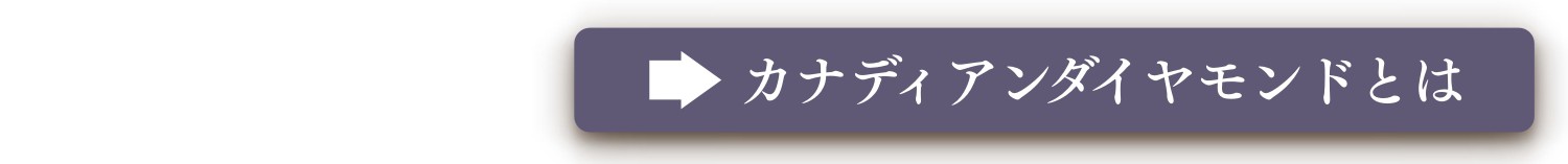 ʥǥɤȤ